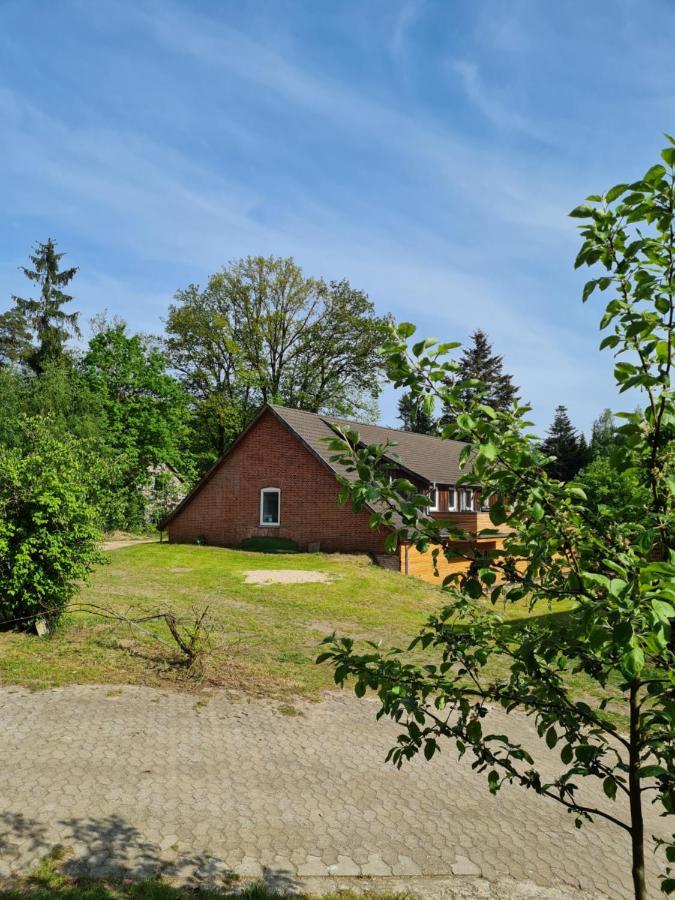 Dammann'S Hof Leilighet Bispingen Eksteriør bilde