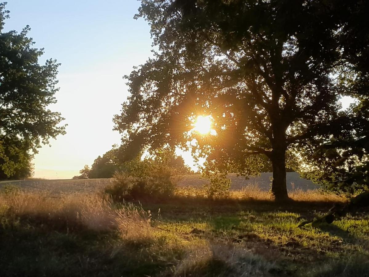 Dammann'S Hof Leilighet Bispingen Eksteriør bilde
